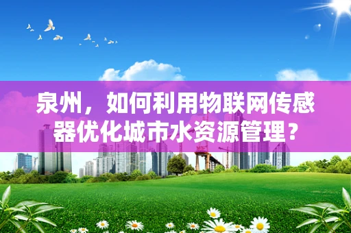 泉州，如何利用物联网传感器优化城市水资源管理？