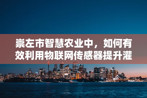 崇左市智慧农业中，如何有效利用物联网传感器提升灌溉效率？