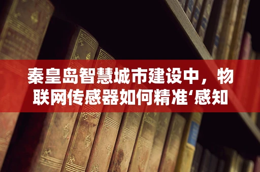 秦皇岛智慧城市建设中，物联网传感器如何精准‘感知’城市脉动？