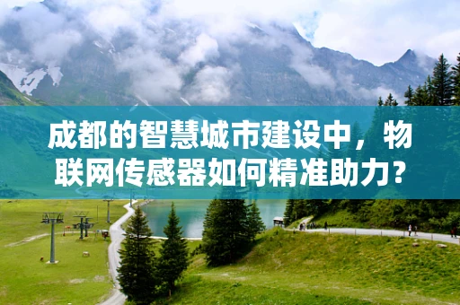 成都的智慧城市建设中，物联网传感器如何精准助力？