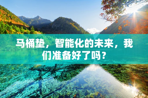 马桶垫，智能化的未来，我们准备好了吗？