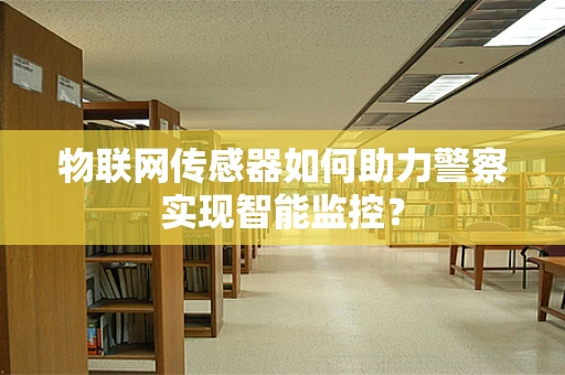 物联网传感器如何助力警察实现智能监控？
