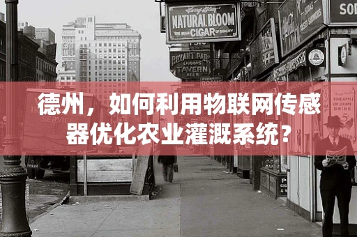 德州，如何利用物联网传感器优化农业灌溉系统？