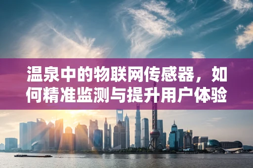 温泉中的物联网传感器，如何精准监测与提升用户体验？