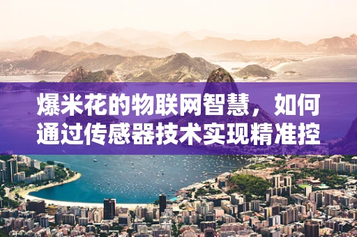 爆米花的物联网智慧，如何通过传感器技术实现精准控制与安全监测？