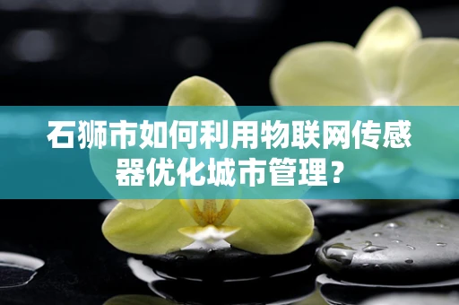 石狮市如何利用物联网传感器优化城市管理？