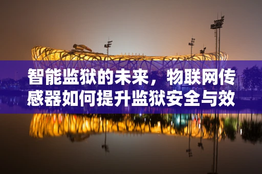 智能监狱的未来，物联网传感器如何提升监狱安全与效率？