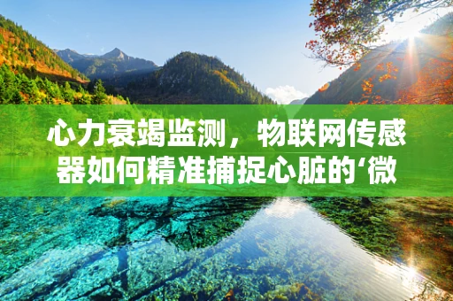 心力衰竭监测，物联网传感器如何精准捕捉心脏的‘微弱呼救’？