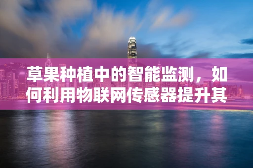 草果种植中的智能监测，如何利用物联网传感器提升其生长效率？