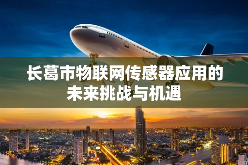 长葛市物联网传感器应用的未来挑战与机遇