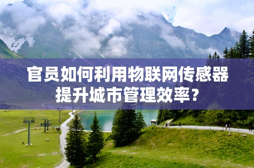 官员如何利用物联网传感器提升城市管理效率？