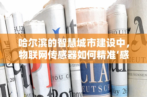 哈尔滨的智慧城市建设中，物联网传感器如何精准‘感知’寒地城市的独特挑战？