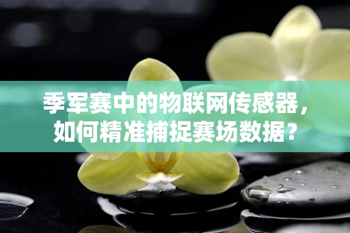 季军赛中的物联网传感器，如何精准捕捉赛场数据？