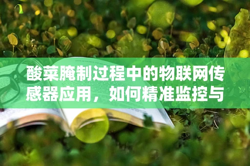 酸菜腌制过程中的物联网传感器应用，如何精准监控与优化？