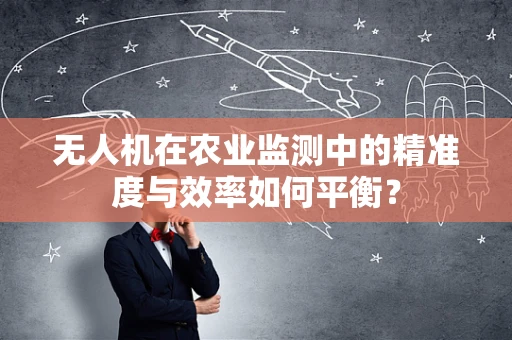 无人机在农业监测中的精准度与效率如何平衡？