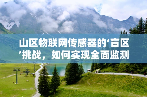山区物联网传感器的‘盲区’挑战，如何实现全面监测？