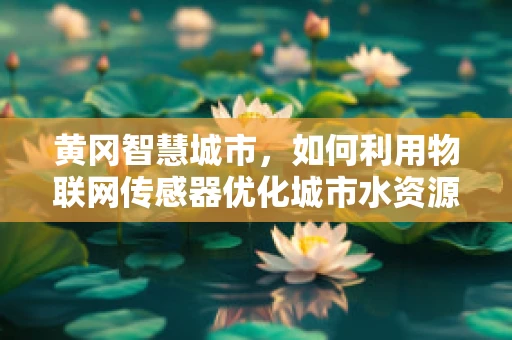黄冈智慧城市，如何利用物联网传感器优化城市水资源管理？