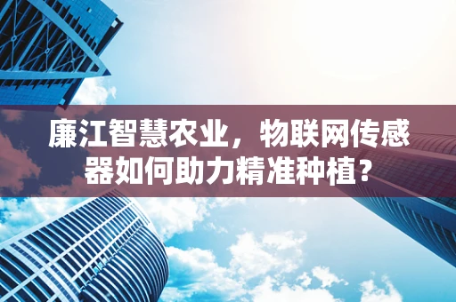 廉江智慧农业，物联网传感器如何助力精准种植？
