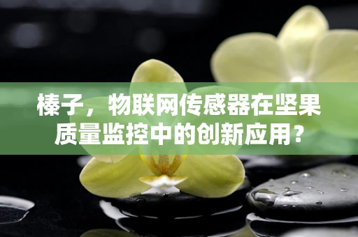 榛子，物联网传感器在坚果质量监控中的创新应用？
