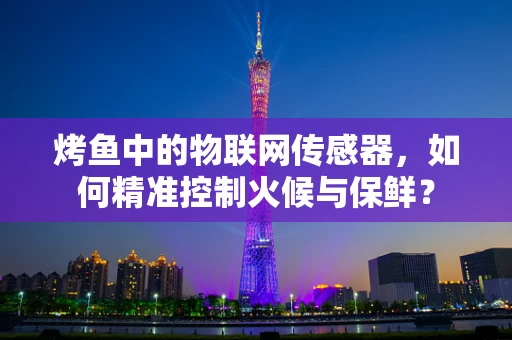 烤鱼中的物联网传感器，如何精准控制火候与保鲜？