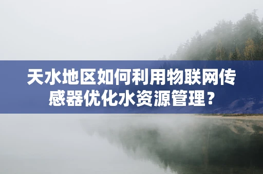 天水地区如何利用物联网传感器优化水资源管理？