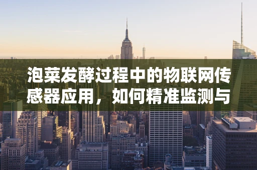 泡菜发酵过程中的物联网传感器应用，如何精准监测与控制？