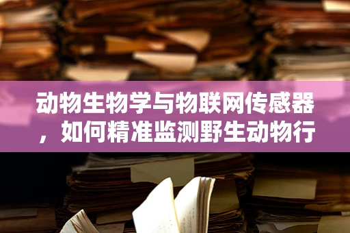 动物生物学与物联网传感器，如何精准监测野生动物行为？