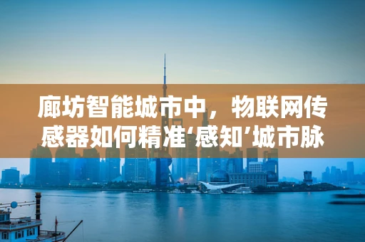 廊坊智能城市中，物联网传感器如何精准‘感知’城市脉动？