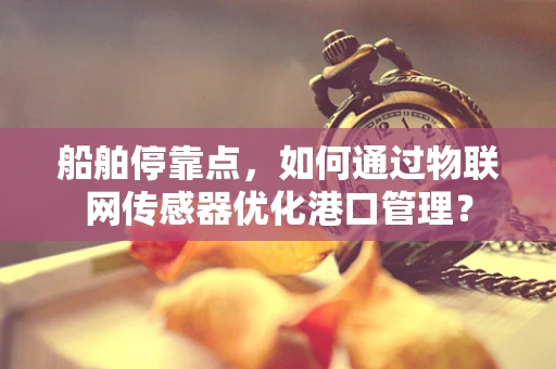 船舶停靠点，如何通过物联网传感器优化港口管理？