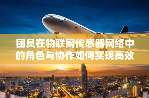 团员在物联网传感器网络中的角色与协作如何实现高效协同？