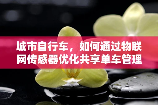 城市自行车，如何通过物联网传感器优化共享单车管理？