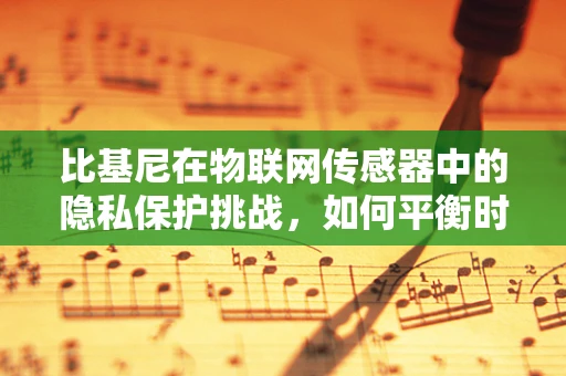 比基尼在物联网传感器中的隐私保护挑战，如何平衡时尚与安全？