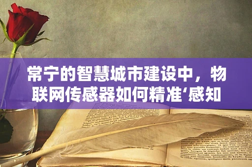 常宁的智慧城市建设中，物联网传感器如何精准‘感知’城市脉动？