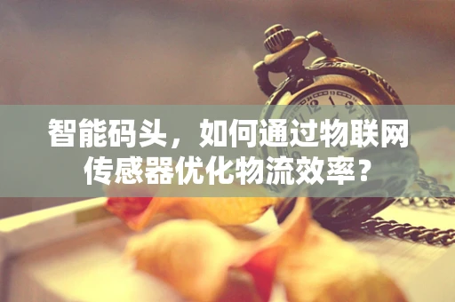 智能码头，如何通过物联网传感器优化物流效率？