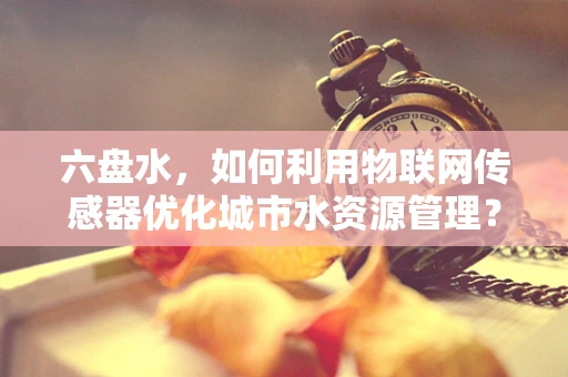 六盘水，如何利用物联网传感器优化城市水资源管理？