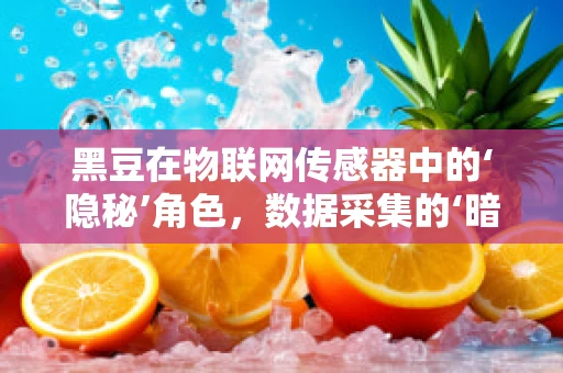黑豆在物联网传感器中的‘隐秘’角色，数据采集的‘暗夜英雄’？