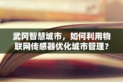 武冈智慧城市，如何利用物联网传感器优化城市管理？