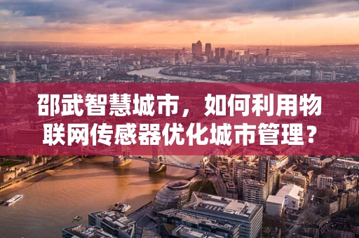 邵武智慧城市，如何利用物联网传感器优化城市管理？