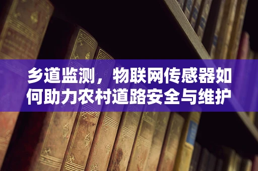 乡道监测，物联网传感器如何助力农村道路安全与维护？