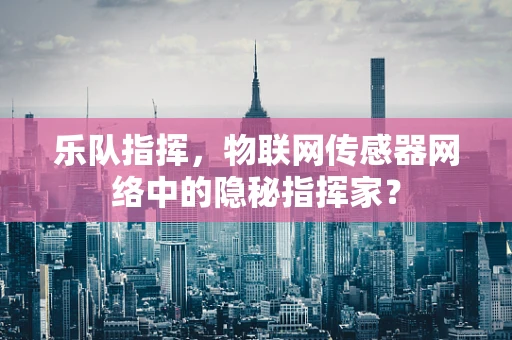 乐队指挥，物联网传感器网络中的隐秘指挥家？