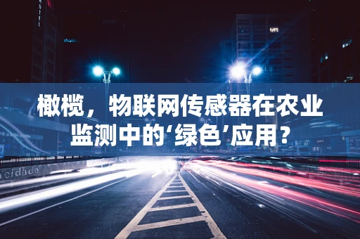 橄榄，物联网传感器在农业监测中的‘绿色’应用？