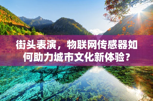 街头表演，物联网传感器如何助力城市文化新体验？