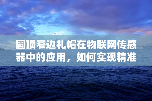 圆顶窄边礼帽在物联网传感器中的应用，如何实现精准环境监测？