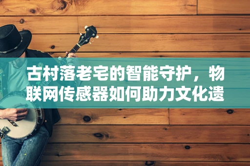 古村落老宅的智能守护，物联网传感器如何助力文化遗产保护？