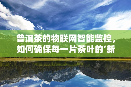 普洱茶的物联网智能监控，如何确保每一片茶叶的‘新鲜’与‘安全’？