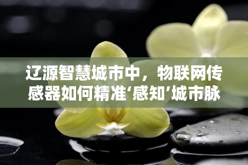 辽源智慧城市中，物联网传感器如何精准‘感知’城市脉动？