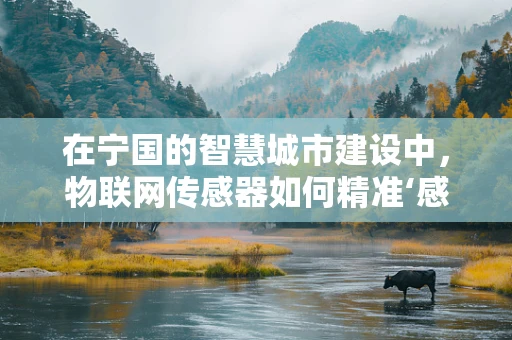 在宁国的智慧城市建设中，物联网传感器如何精准‘感知’城市脉动？