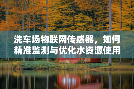 洗车场物联网传感器，如何精准监测与优化水资源使用？