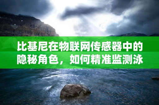 比基尼在物联网传感器中的隐秘角色，如何精准监测泳者健康？
