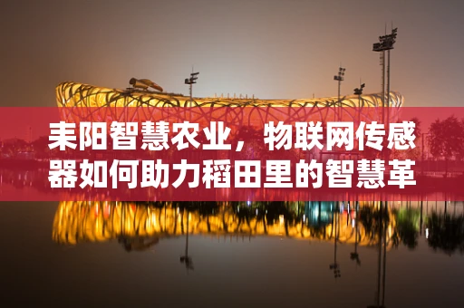 耒阳智慧农业，物联网传感器如何助力稻田里的智慧革命？